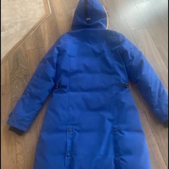 Canada goose - Picture 2 of 4